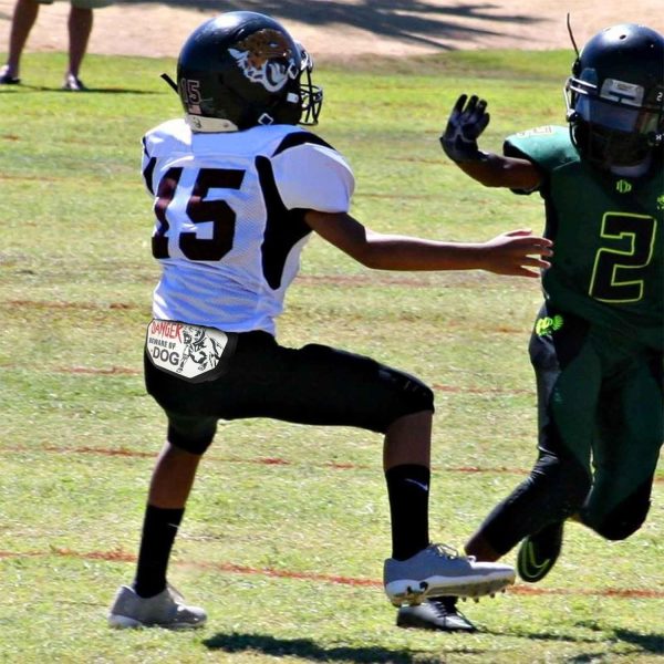 Football Backplates Youth Size LalaKoo Polymer Sponge-3